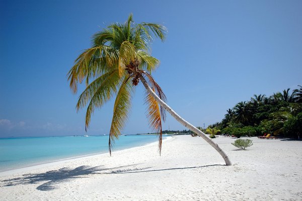La magie du bateau vedette : l'appel de l'aventure sur l'eau